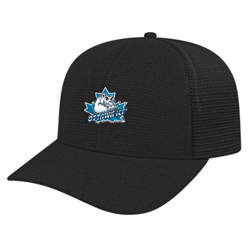 OTTAWA ICE (VELCRO) BALL CAP INCLUDES EMBROIDERED LOGO ON FRONT