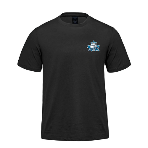 OTTAWA ICE COAST DRYFIT SHORT SLEEVE TEE WITH HEAT PRESS LOGO