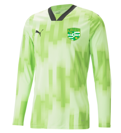 HORNETS PUMA TEAM TARGET GK JERSEY WITH HEAT PRESSED LOGO AND NUMBER