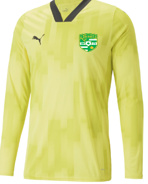 HORNETS PUMA TEAM TARGET GK JERSEY WITH HEAT PRESSED LOGO AND NUMBER